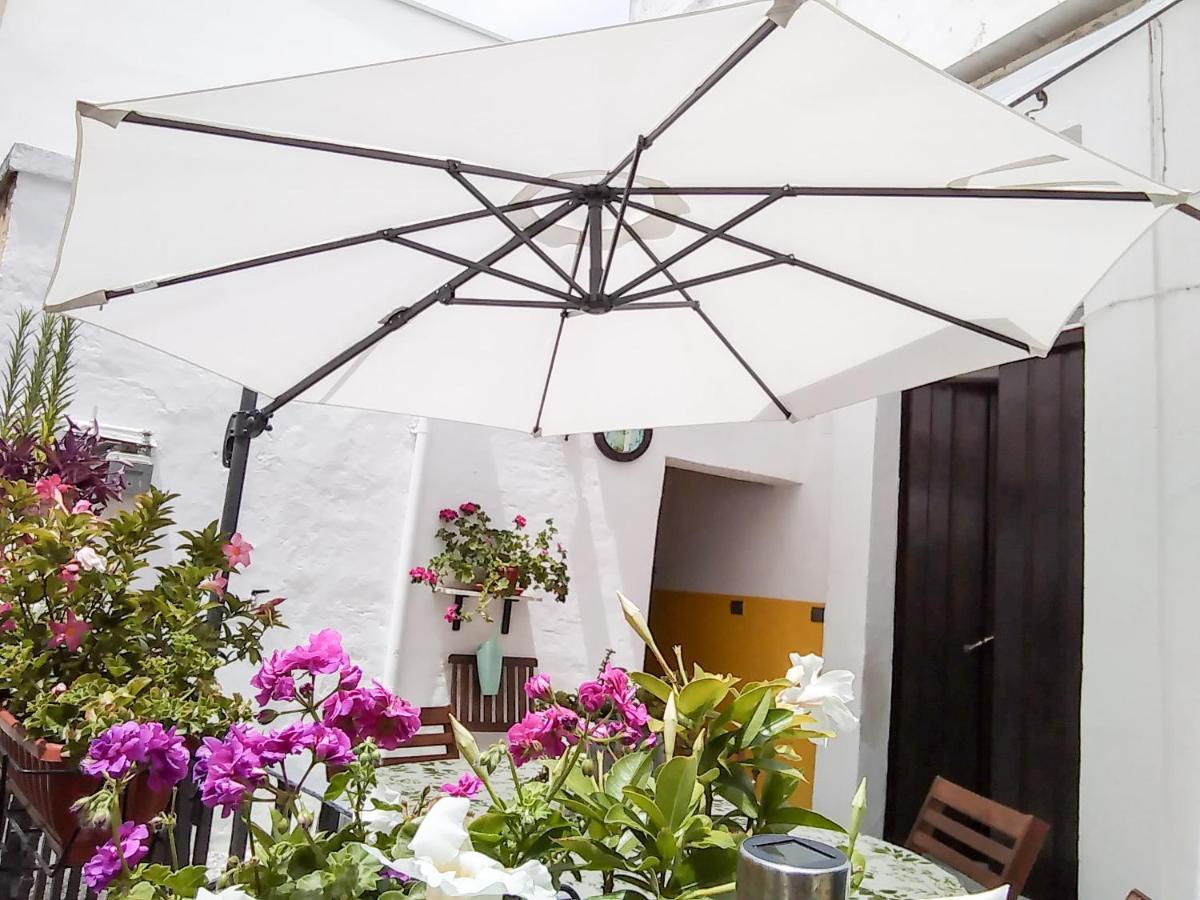 B&B 20 Archi Monopoli Eksteriør bilde